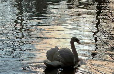 La Villa des Coccinelles - Photo 27