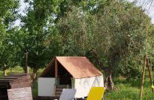 Lodge Rabasquinha - Photo 17