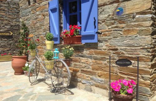 Saint Louis - Foto 29