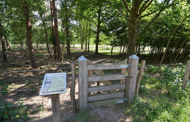 Detached Bungalow With Lovely Covered Terrace - Photo 32