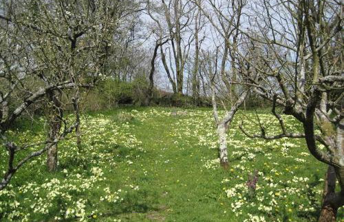 Luggs Barn - Beautiful Devon Hideaway - Photo 30