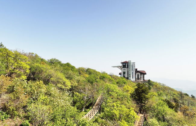 Mona Yongpyong Tower Condominium - Photo 64