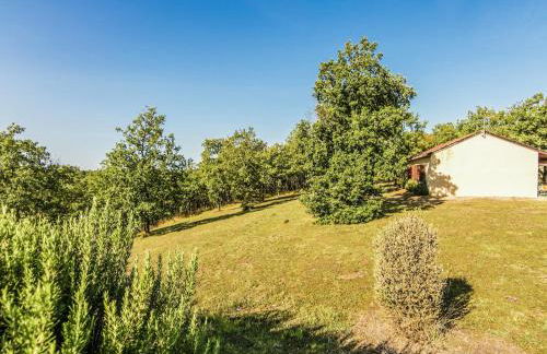 Holiday home with swimming pool - Foto 20