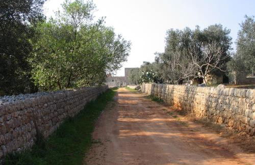 Terra di Leuca - Foto 82