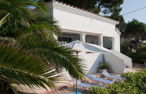 Sargantana Blava - Foto 4