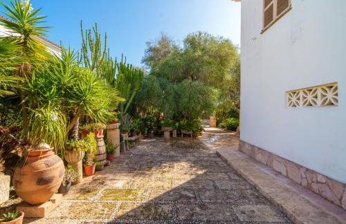Holiday Home Can Damia by Interhome - Foto 42