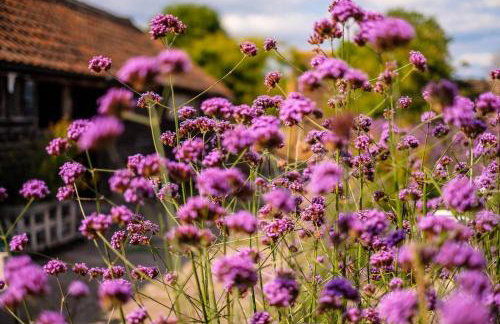 Medieval Manor House - Foto 18