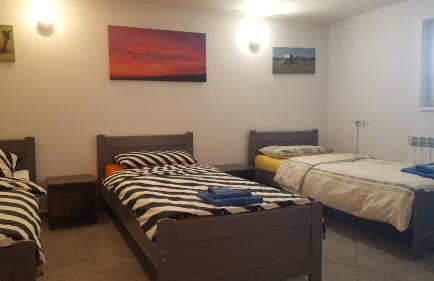 Alpaka-Ranczo AFF - Foto 66