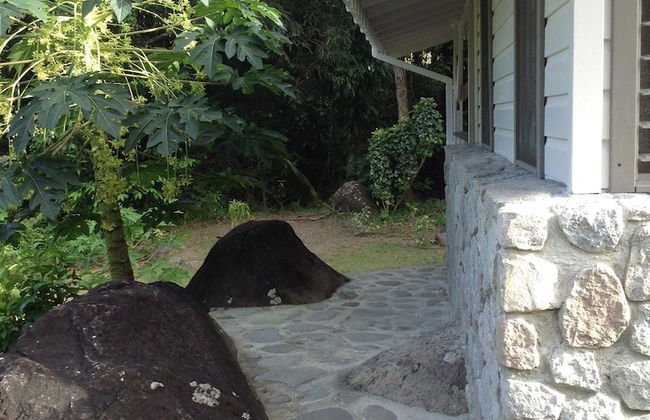 Citrus Creek Plantation - Photo 25