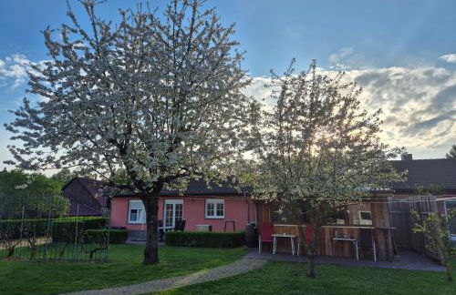 Ferienhaus SIGGI - Foto 23