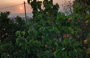 Melody cottage, Samos - Foto 58