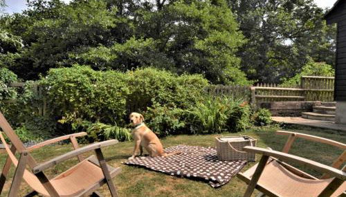 2 Bed in Sherborne oc-53673 - Foto 2, Other