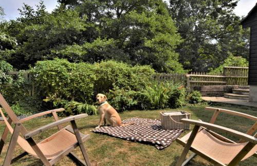 2 Bed in Sherborne oc-53673 - Foto 2