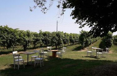 Agriturismo Vitae - Foto 7