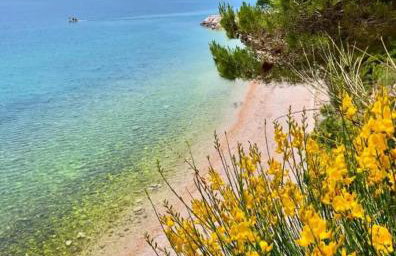 Apartman PINK Živogošće - Photo 17