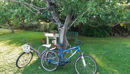 La Celestina - Foto 2