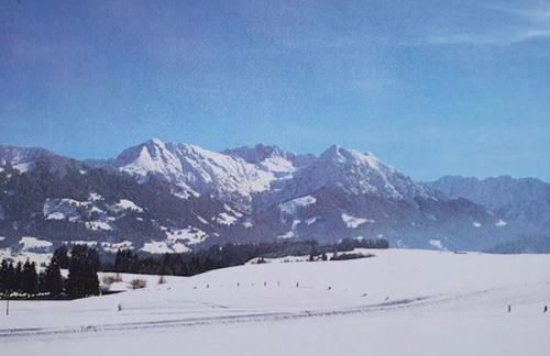 Bergkristall - Freie Fahrt Allgäuer Hörnerbahnen im Sommer - Foto 12