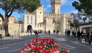 Alma Garda Home - Foto 1