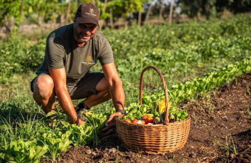 Masseria Torre Ruggeri - Foto 21