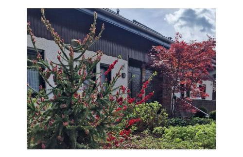 Holiday home Korn am Bärensteig - Foto 2