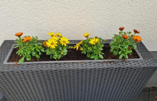 Ferienwohnung Emma - Foto 19