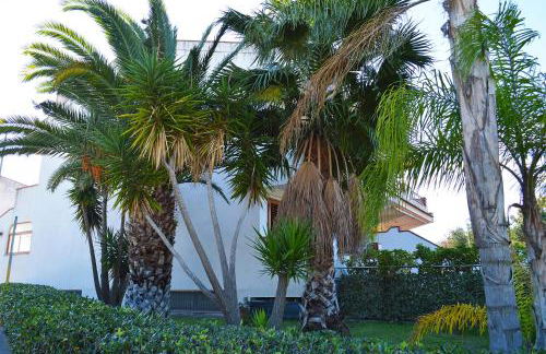 House Paradise Amedeo - Foto 9