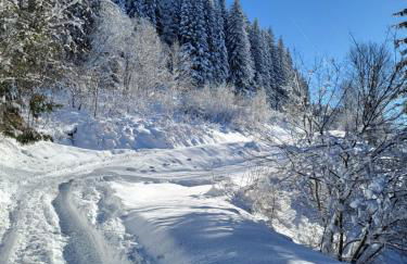 Chalet d'alpage avec vue incroyable - Foto 68