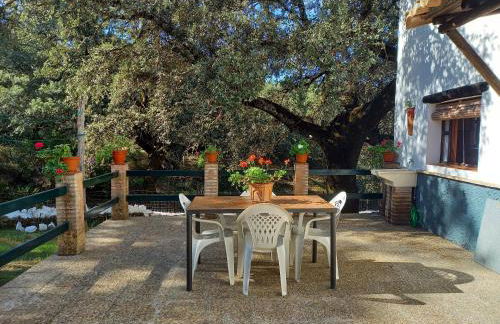 La Encina Casa Rural - Foto 6