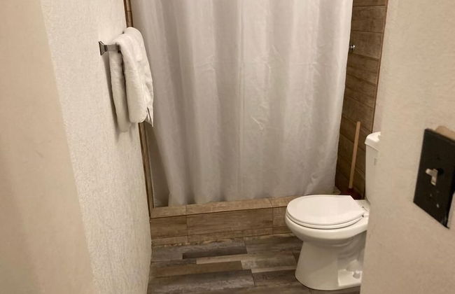 Gladiolas 2107 - Foto 11