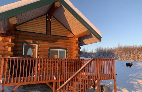 Secluded Log Cabin, 30 min from Chena Hot Springs - Foto 10