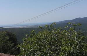 Agriturismo Fontevecchia - Foto 9