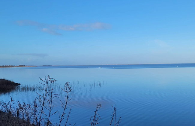 6 Person Holiday Home in Ulfborg - Foto 35