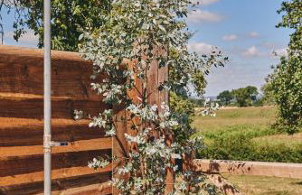 Powk Meadow Farmhouse - Foto 31