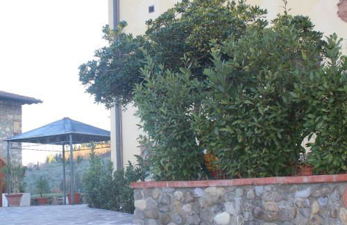 LA GUELFA 64 - Foto 15