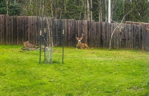 PA Hope Cottage - Foto 14