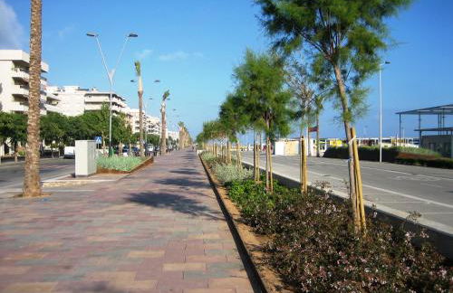 Can Torrents - Foto 33