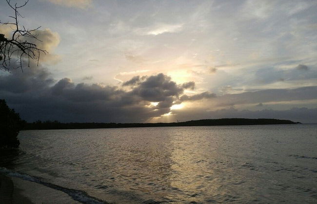 Beachfront Studios - Photo 66