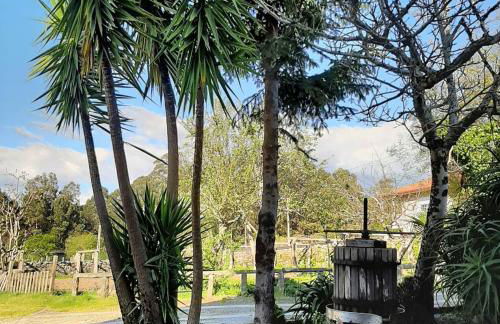 Os Areeiros Turismo Rural & Bodega - Foto 52