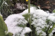 BHH Appartamento Signorini Bologna -wwwbolognaholidayhomecom- Parcheggio Riservato e Giardino - Holiday House Bologna Garden Parking - Foto 67