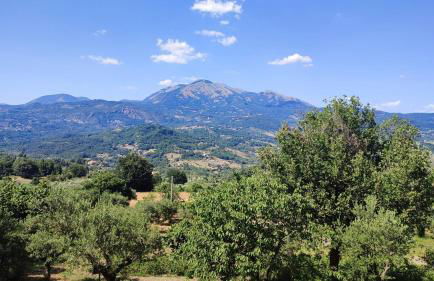 Holiday Country House - Trecchina - Foto 26