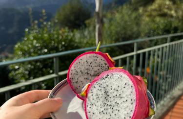 Refúgio das Camélias - Foto 8