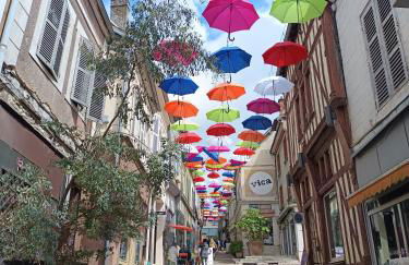 Appartement cosy Plein centre de Joigny 2 - 3 pers Cosy 1 - Foto 5