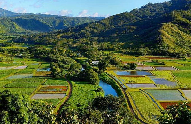 Kauai Day Trip - Photo 6