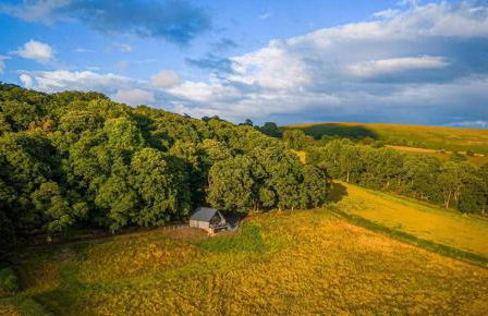 Oolert Treehouse - Photo 11