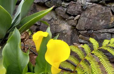 Sítio da Assumada - Foto 46