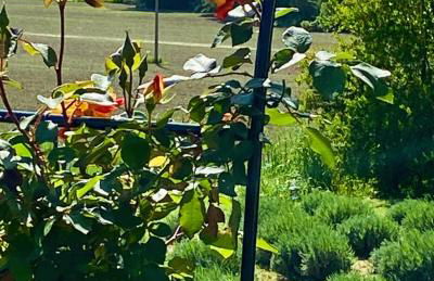 Casa Vacanze Podere San Giusto Volterra - Foto 27