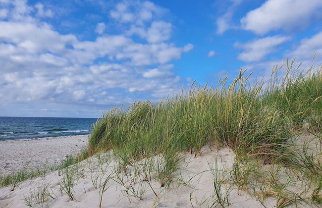 8 Person Holiday Home in Rorvig-by Traum - Foto 20