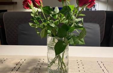 Didi Home Isola Sicilia Villetta fronte spiaggia - Foto 64