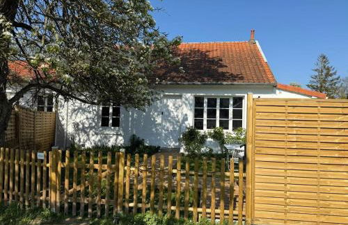 Blanchette - Foto 12