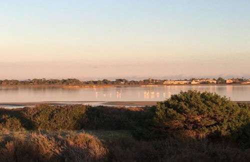 Appartement à proximité du jardin Olbius Riquier - Foto 36